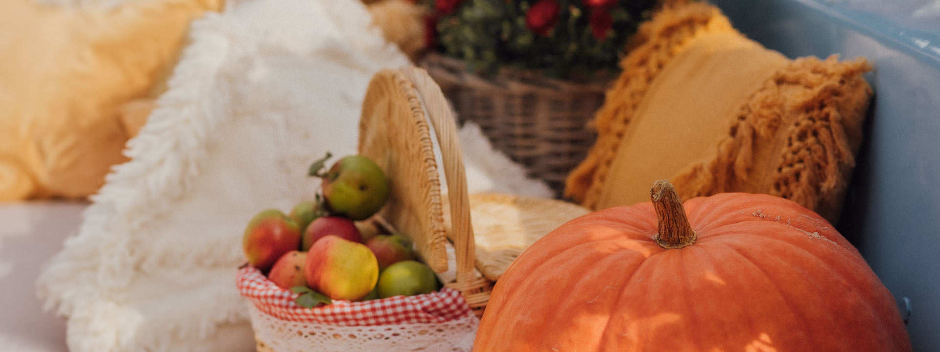 A large pumpkin sits next to a basket filled with apples on a cushioned seat adorned with yellow and white pillows. Some greenery is visible in the background.