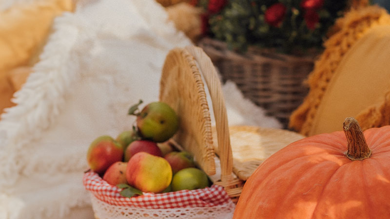 A large pumpkin sits next to a basket filled with apples on a cushioned seat adorned with yellow and white pillows. Some greenery is visible in the background.