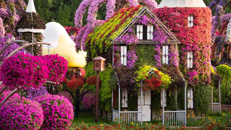 A house is covered with vibrant flowering plants and surrounded by colorful, lush gardens and trees.